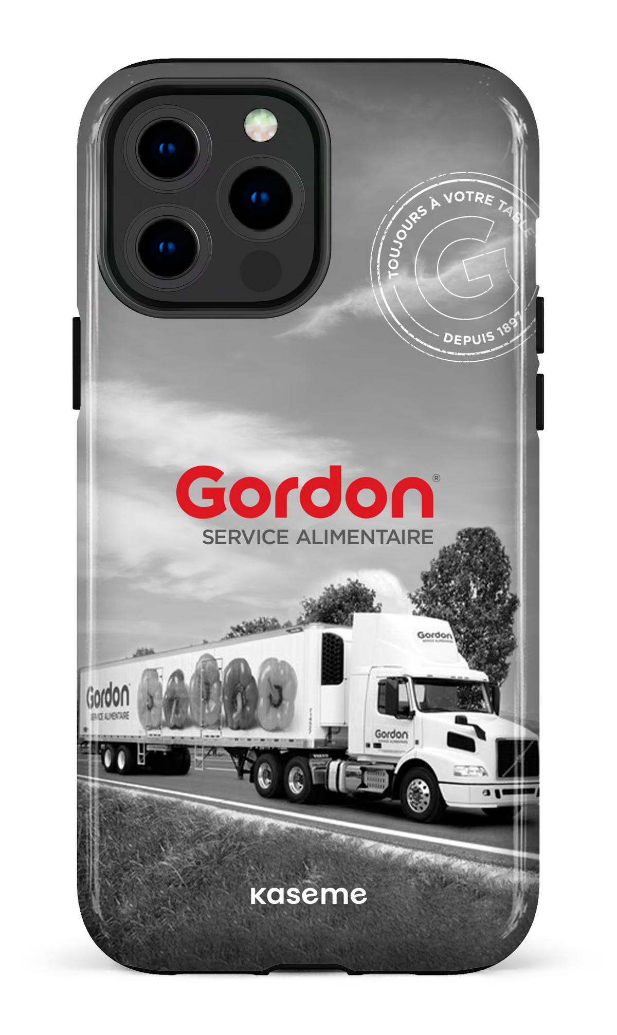 iPhone 13 Pro Max Tough Gordon FR -