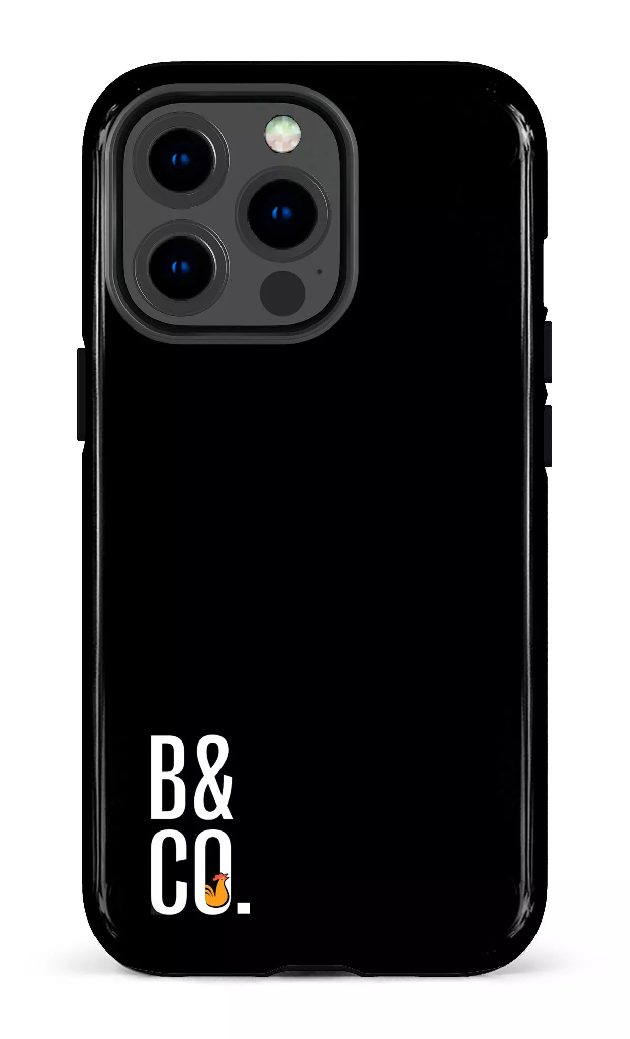 iPhone 13 pro Tough B&Co Noir -