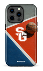 iPhone 13 pro Tough Basket Dragons -