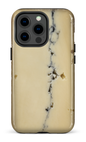 iPhone 13 pro Tough Fromage Cendré -