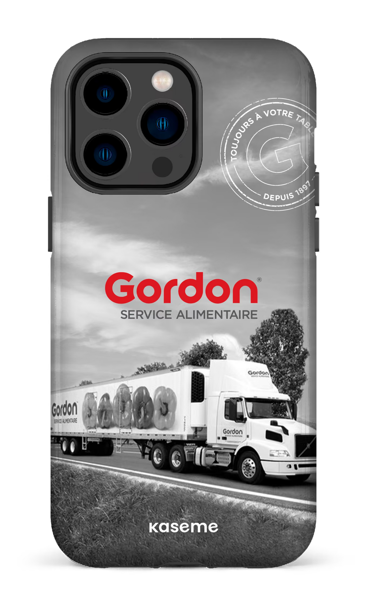 iPhone 14 Pro Max Tough Gordon FR -