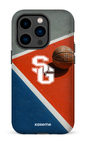 iPhone 14 Pro Tough Basket Dragons -