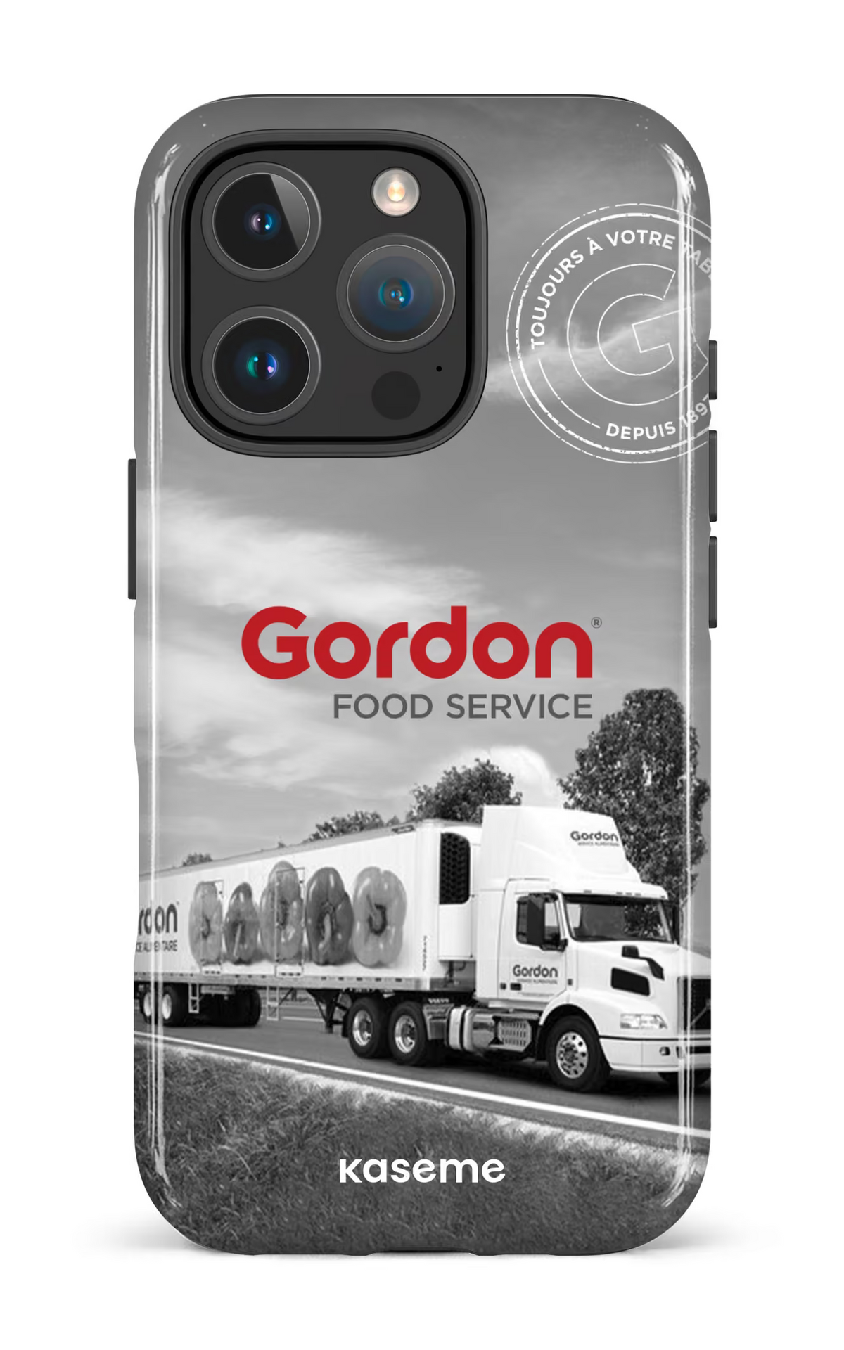 iPhone 16 Pro MagSafe - Impact Case Gordon EN -
