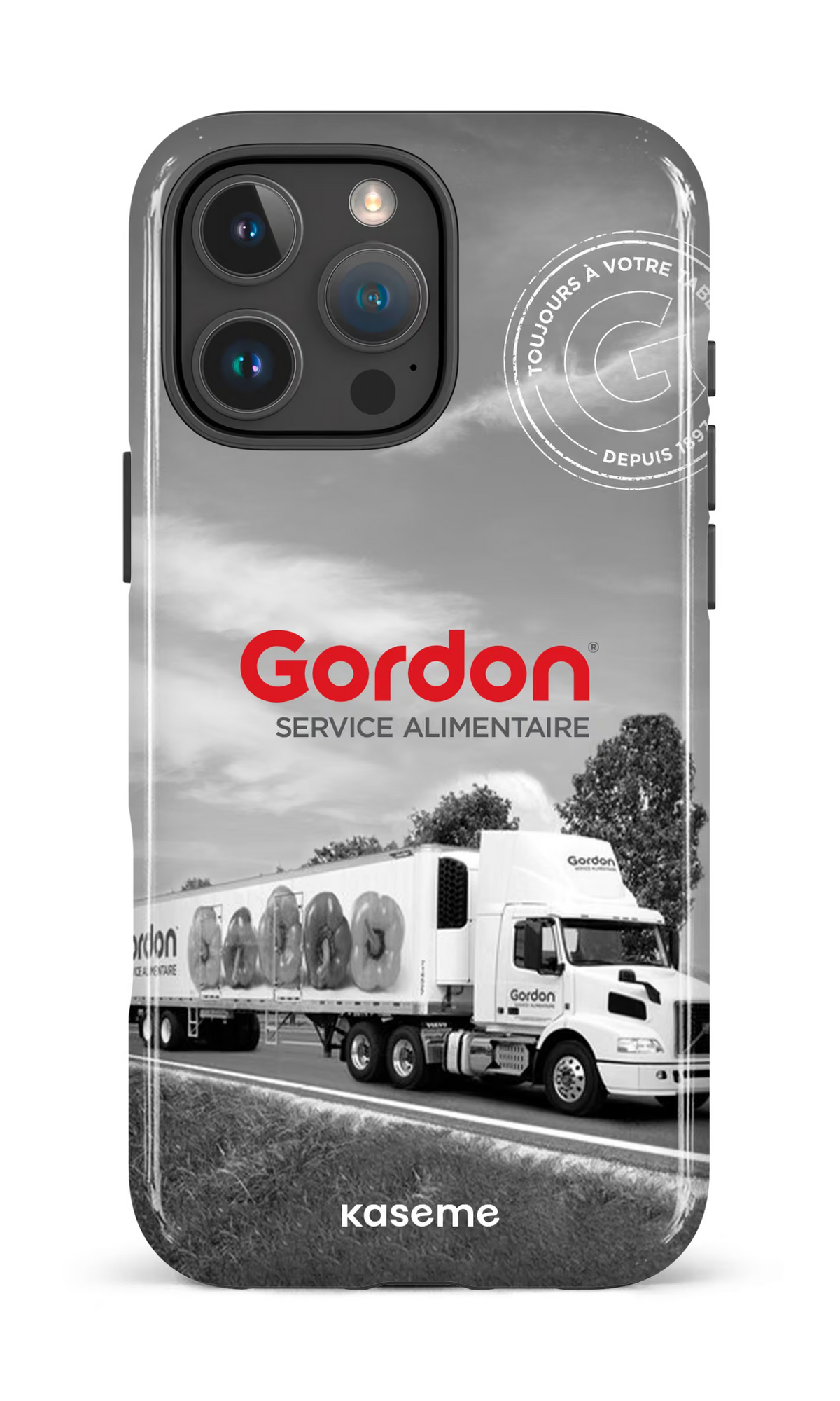 iPhone 16 Pro Max Impact Case Gordon FR -