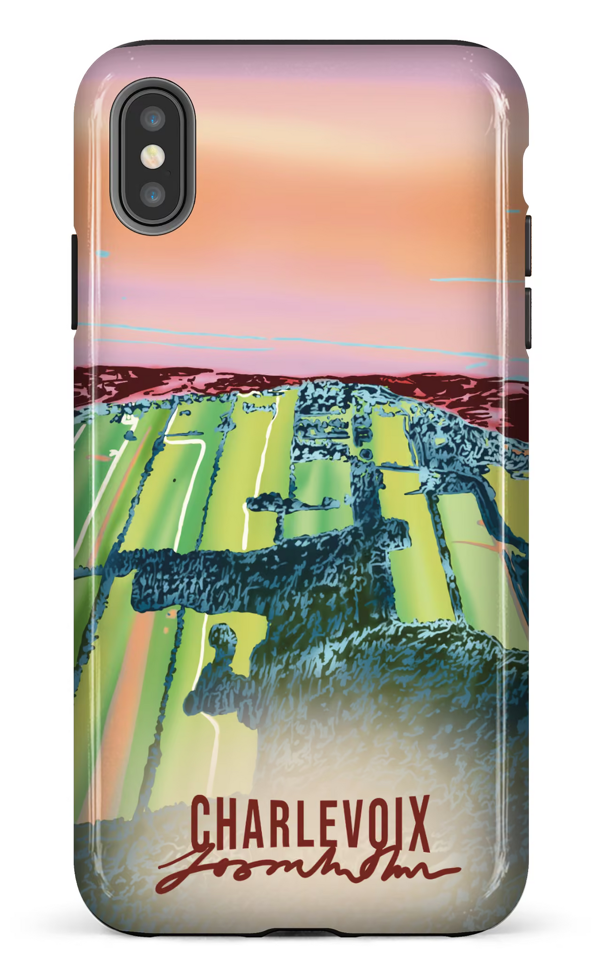 iPhone XS Max tough Le temps des courges -